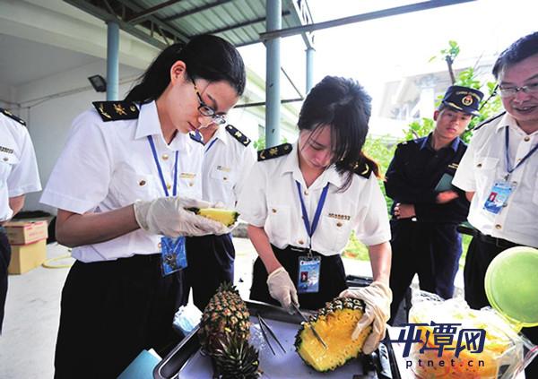 台湾水果经平潭转运上海  当天采摘当天抵达